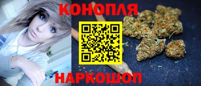 гидра Краснодар