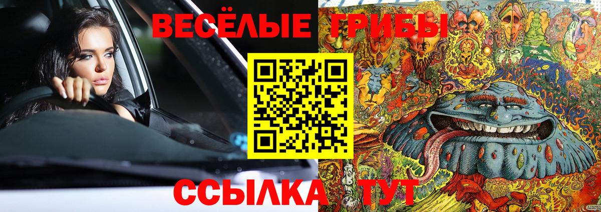Королёв  Псилоцибиновые грибы GOLDEN TEACHER  Вход с VPN 